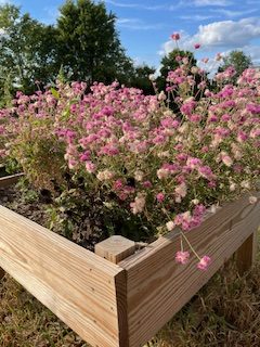 Summer Garden Opportunity